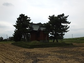 写真画像：神社と田んぼ